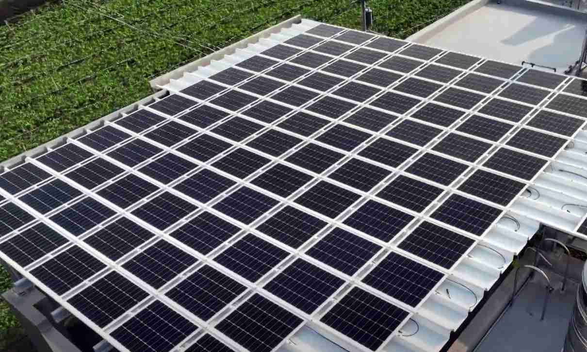 蓝狮在线SunSteel光电浪板升级双玻结构，，，以提升机械负载强度及气候耐候度，，，可广泛运用于多元场域